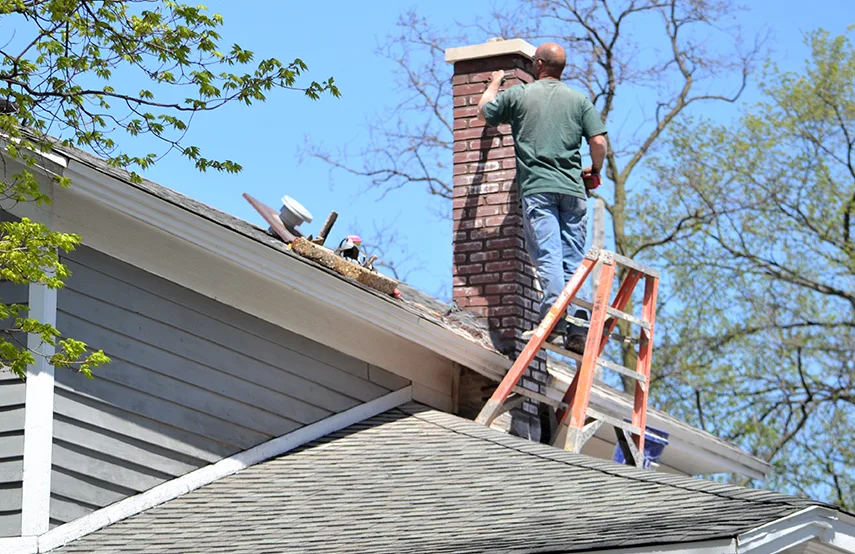 Chimney & Fireplace Inspections Services in Rolling Meadows, IL